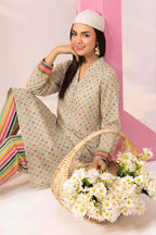 Premium Lawn 2PC ( Code : 17 )